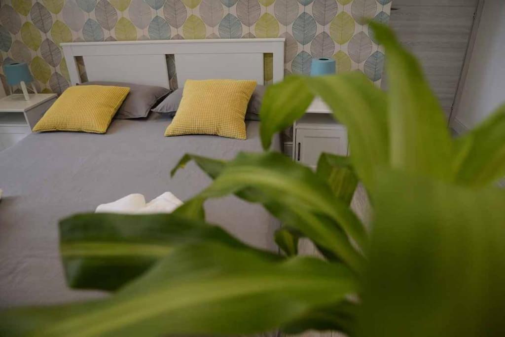 Casa E Appartamenti Per Vacanze Jenner 罗马 外观 照片